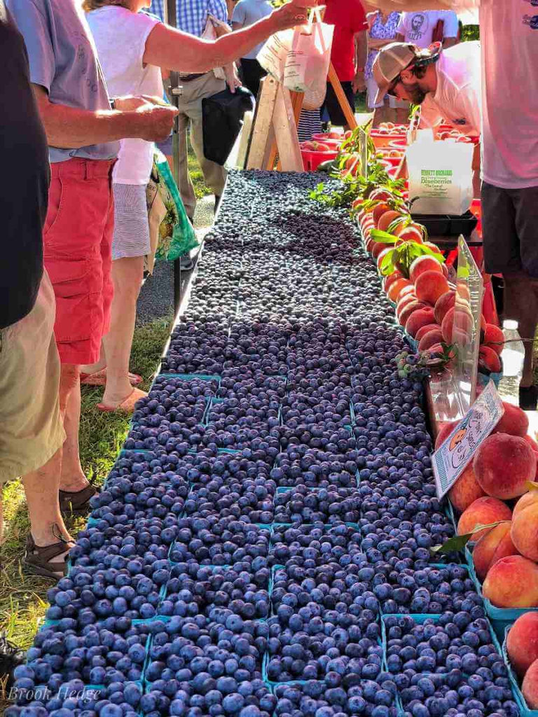 Bennett Peaches and Bennett Blueberries on display at a producer only farmers market. 
